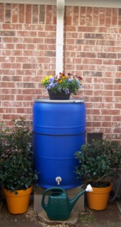 Blue Rain Barrel