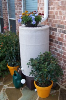 Tan Rain Barrel